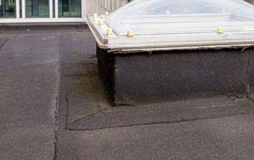 disadvantages of Parkers Green flat roofs