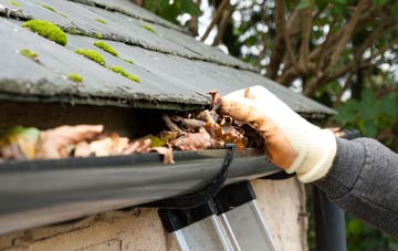gutter cleaning Parkers Green