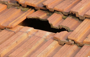 roof repair Parkers Green