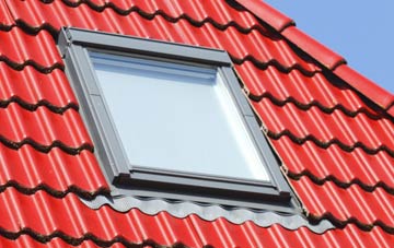 roof windows Parkers Green