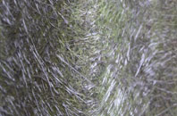 Parkers Green fibreglass roof work